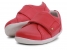 <b>Step up (Νο 18-22)</b><i> Boston Trainer Watermelon</i>
