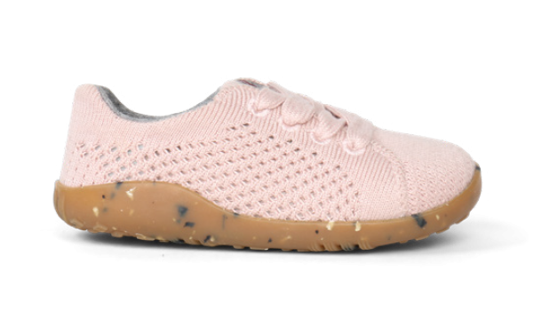 Step up (Νο 18-22) Seedling Rosa